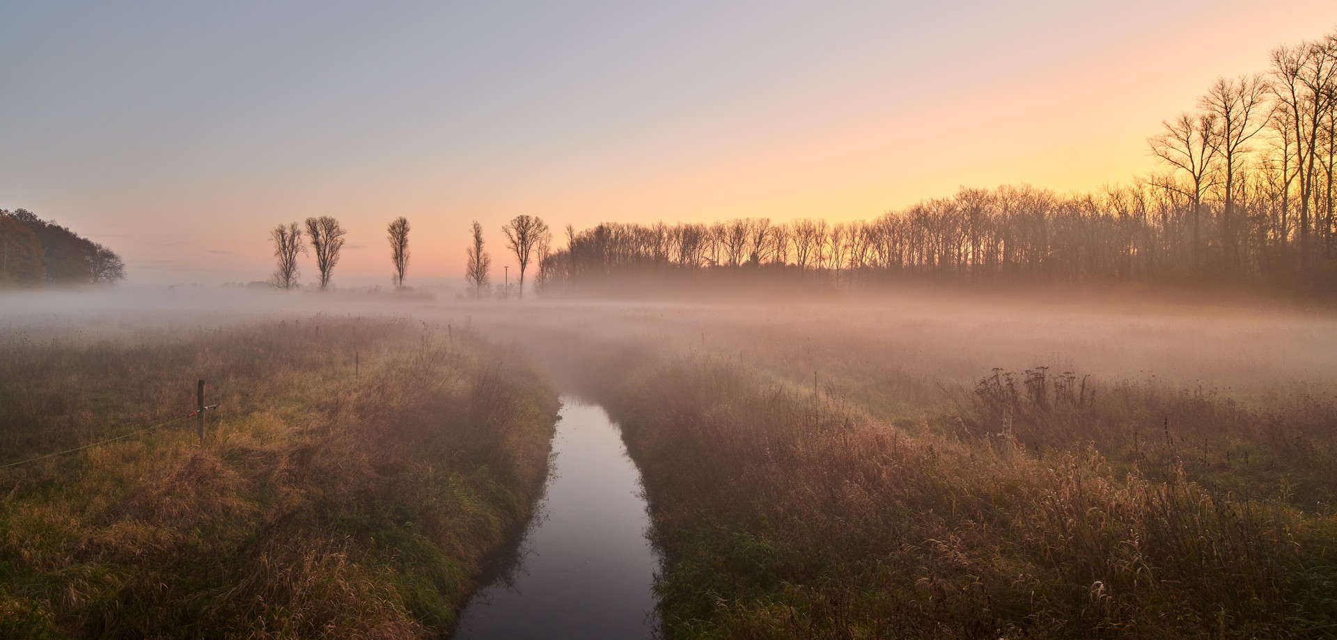 Eine Naturlandschaft, durchzogen von einem Bach, in Westfalen im Nebel.