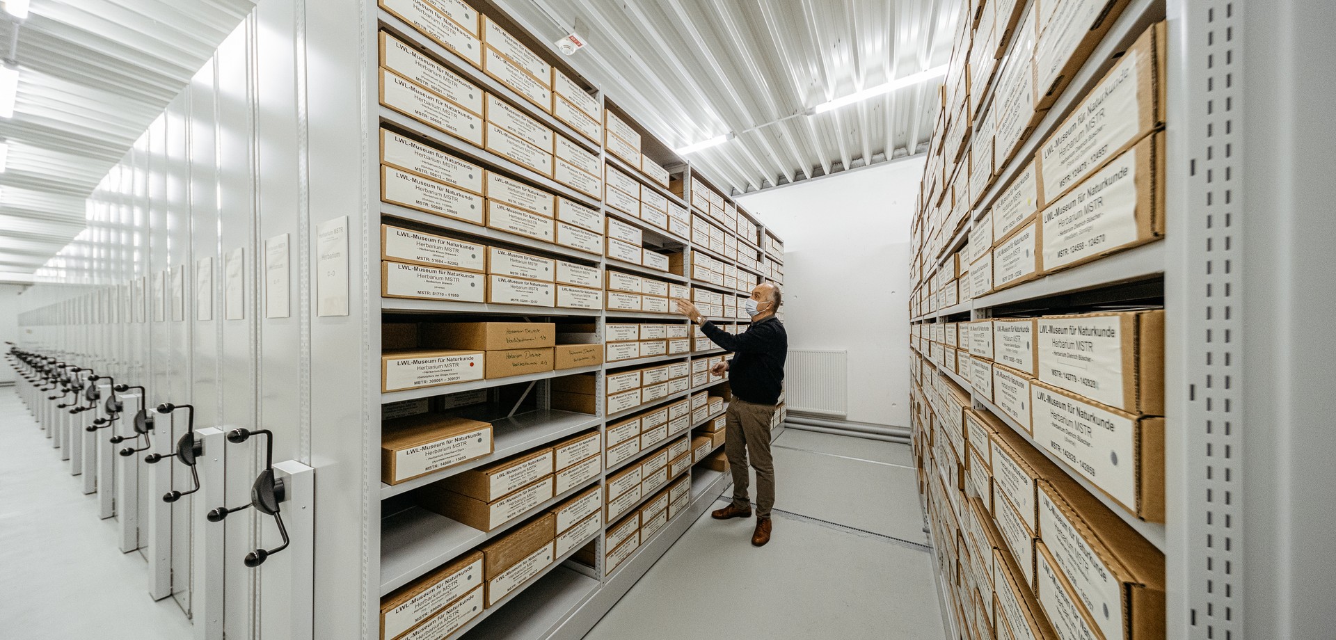 Das Herbarium in den großen Compactus-Regalen im Zentralmagazin des LWL-Museums für Naturkunde.