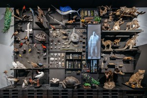 Vielfaltswand der Gene-Ausstellung mit vielen unterschiedlichen Tieren. Vielfaltswand der Gene-Ausstellung mit vielen unterschiedlichen Tieren.